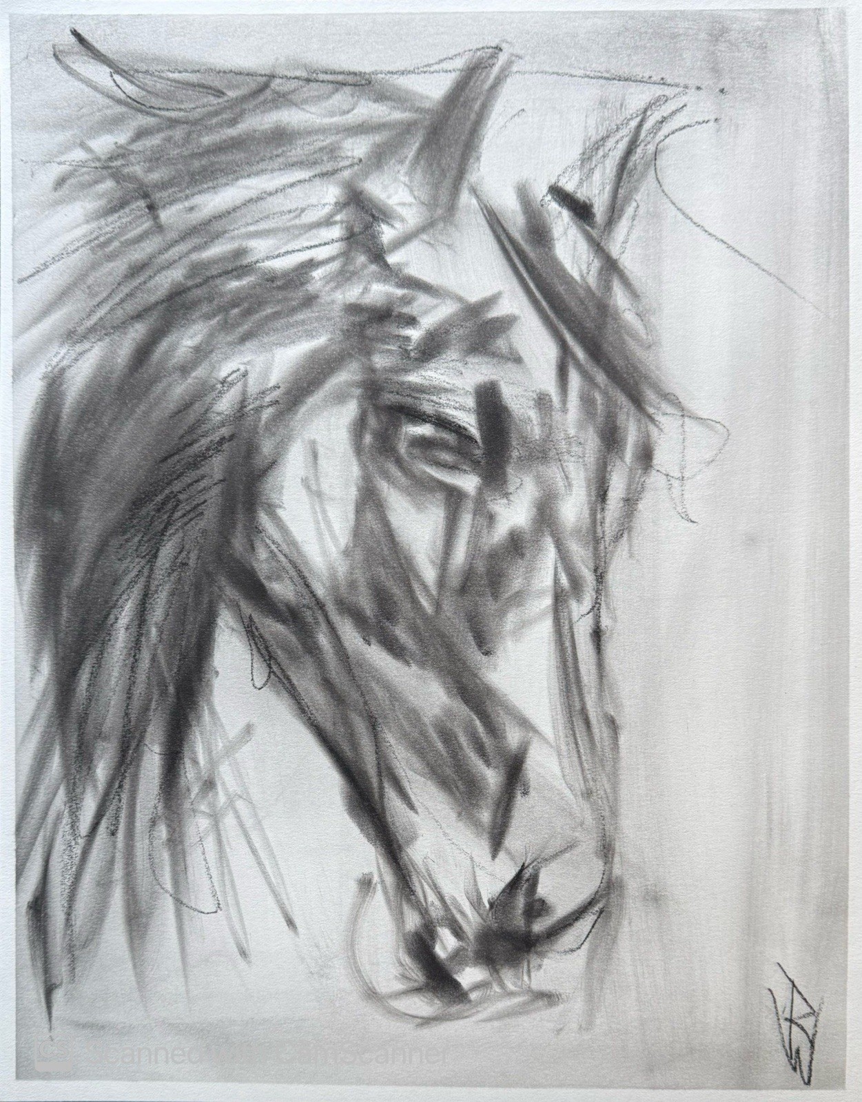 Horse Head Study 11×14 Pastel on Paper Expressionist Animal Drawing