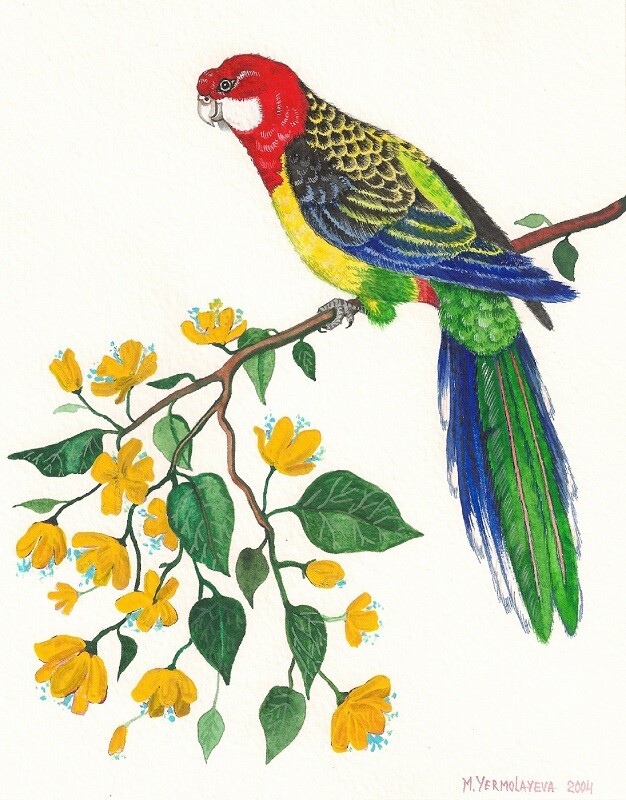 11×14 PRINT OF PAINTING RYTA PARROT TROPICAL BIRD BEACH EXOTIC vacation folk art