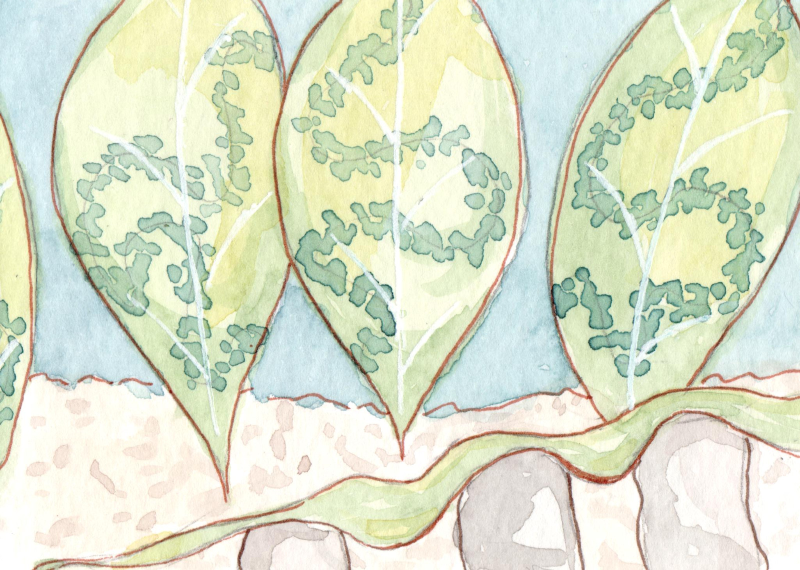 ACEO Watercolor Art Card A Bug’s Life – Show Leaves 2.5×3.5