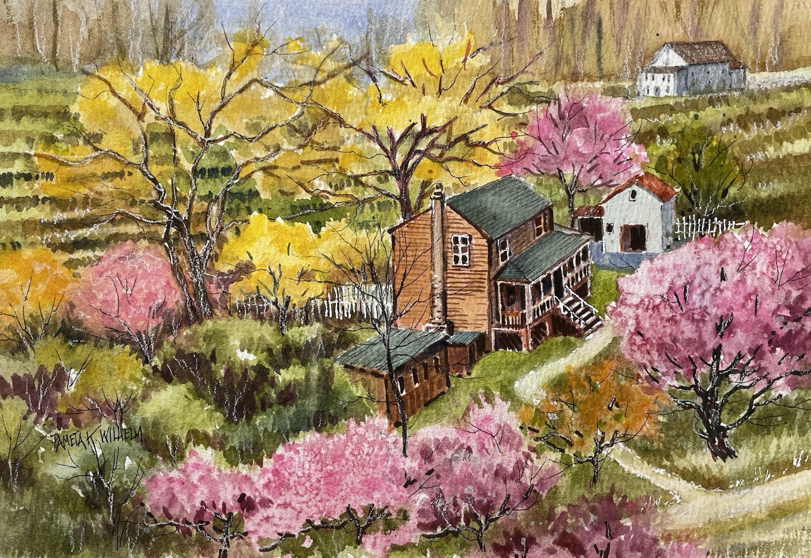 7X10” Original Watercolor Pamela Wilhelm Cherry blossom farm spring trees