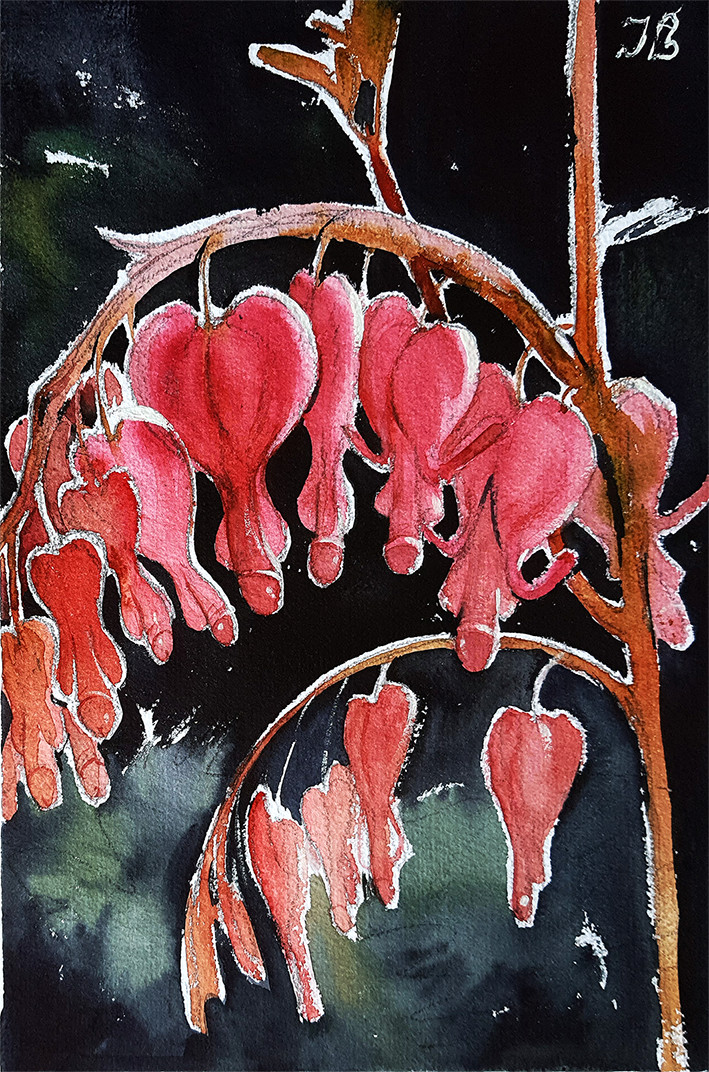 Art Gay Erotic Watercolor «Dickentra spectaballs «( flower, humor )11,6-7,9 in.