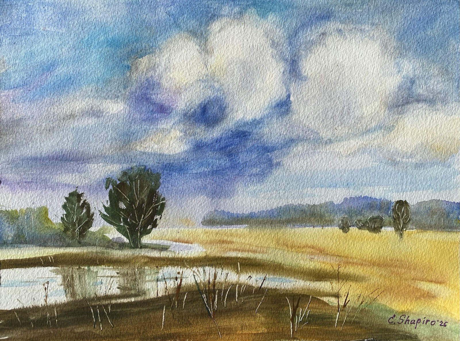 After Storm Meadow Original Watercolor Painting 9×12 Moody Landscape Wall Art
