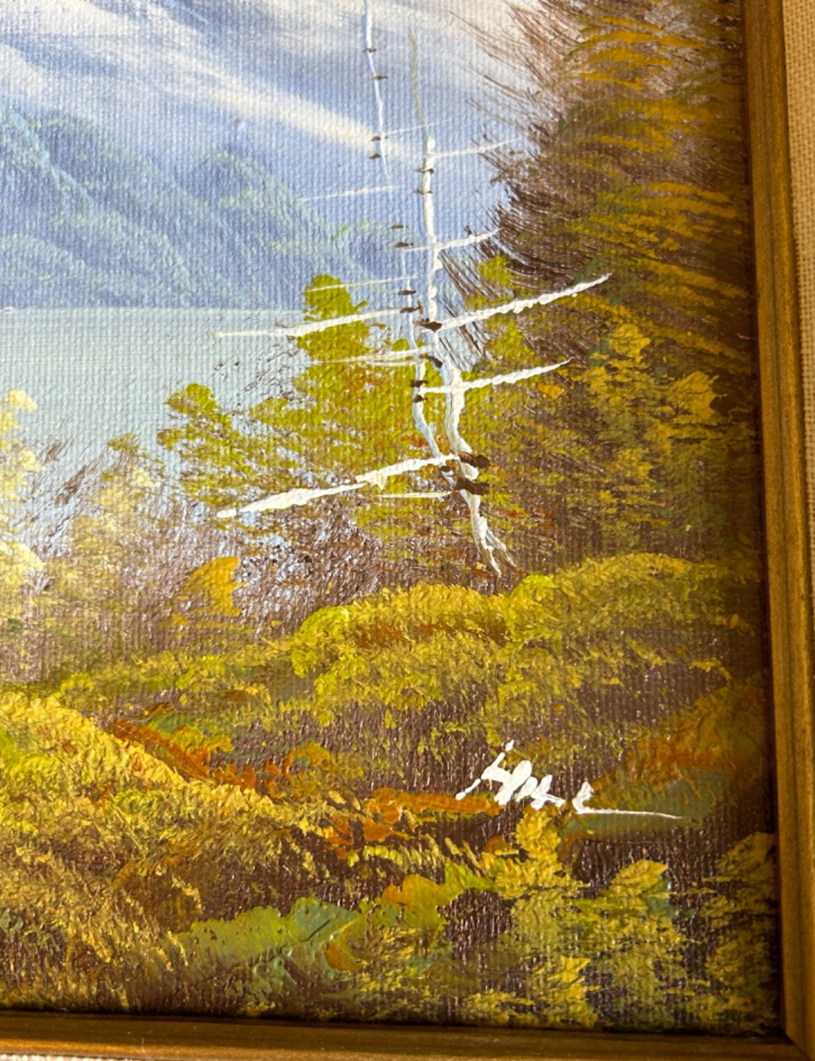 Artist Signed Framed Oil on Canvas Painting Of Mountains And Trees Landscape