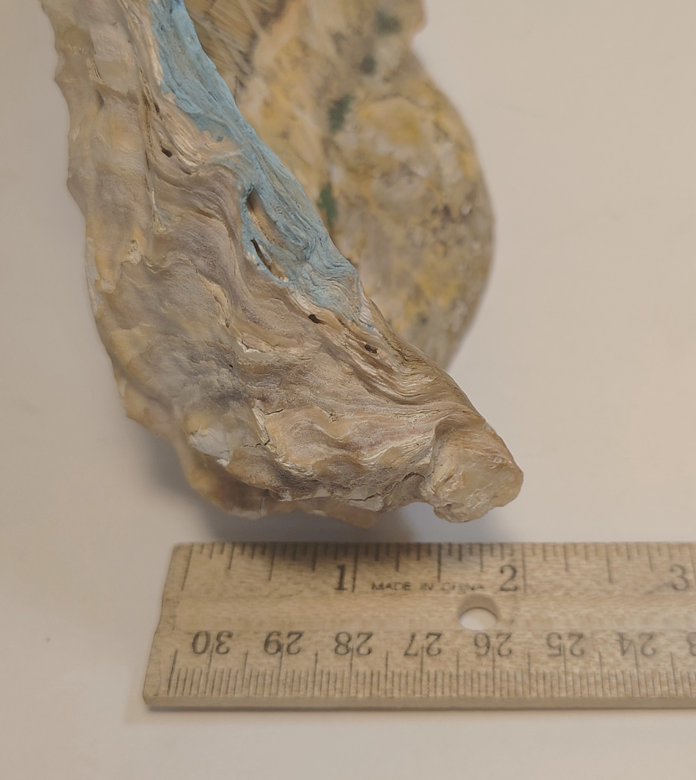 Vtg Miniature Painting of a Mill Mountains inside Fossilized Oyster Shell Signed