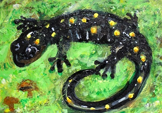 ORIGINAL ACEO Painting SALAMANDER Amphibian Spring Animal Nature Moss ATC ART