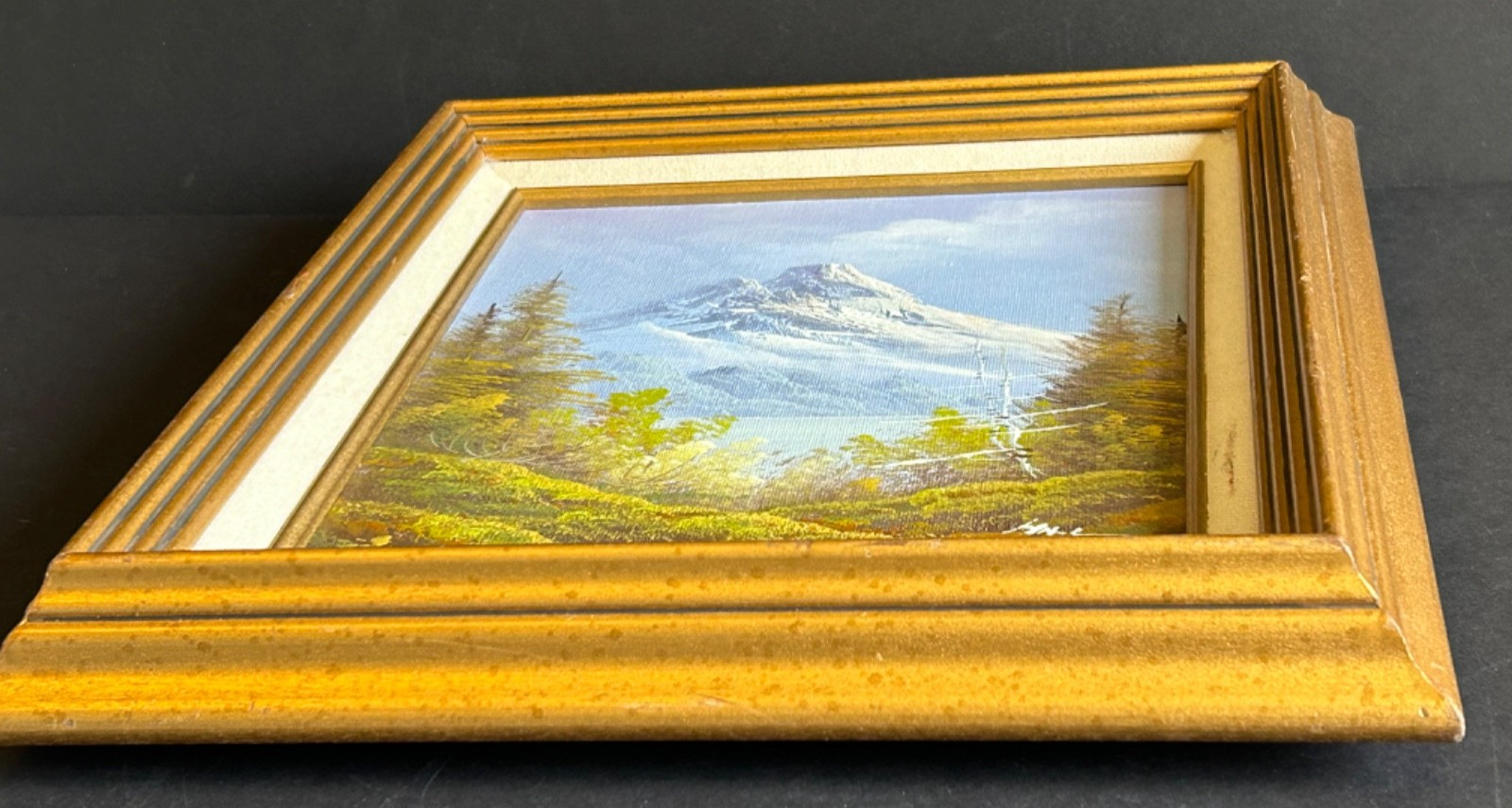 Artist Signed Framed Oil on Canvas Painting Of Mountains And Trees Landscape