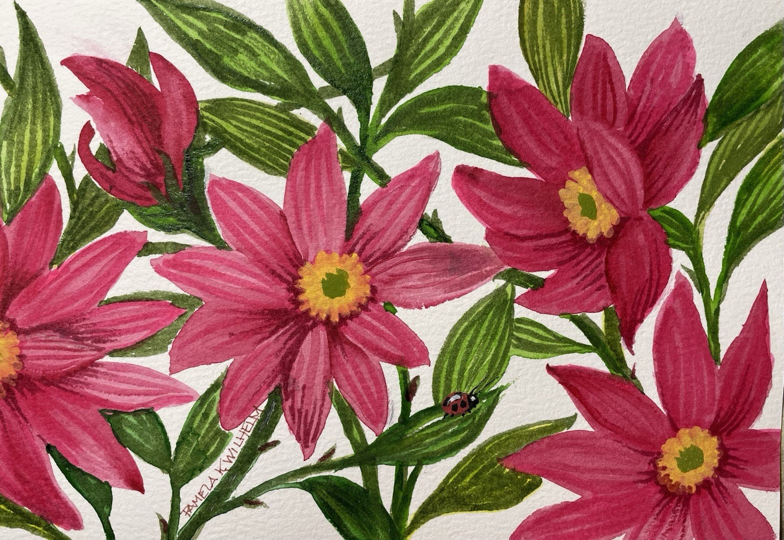 Over 5”x7” Pamela Wilhelm Original Watercolor Deep Pink Daisies & Ladybug