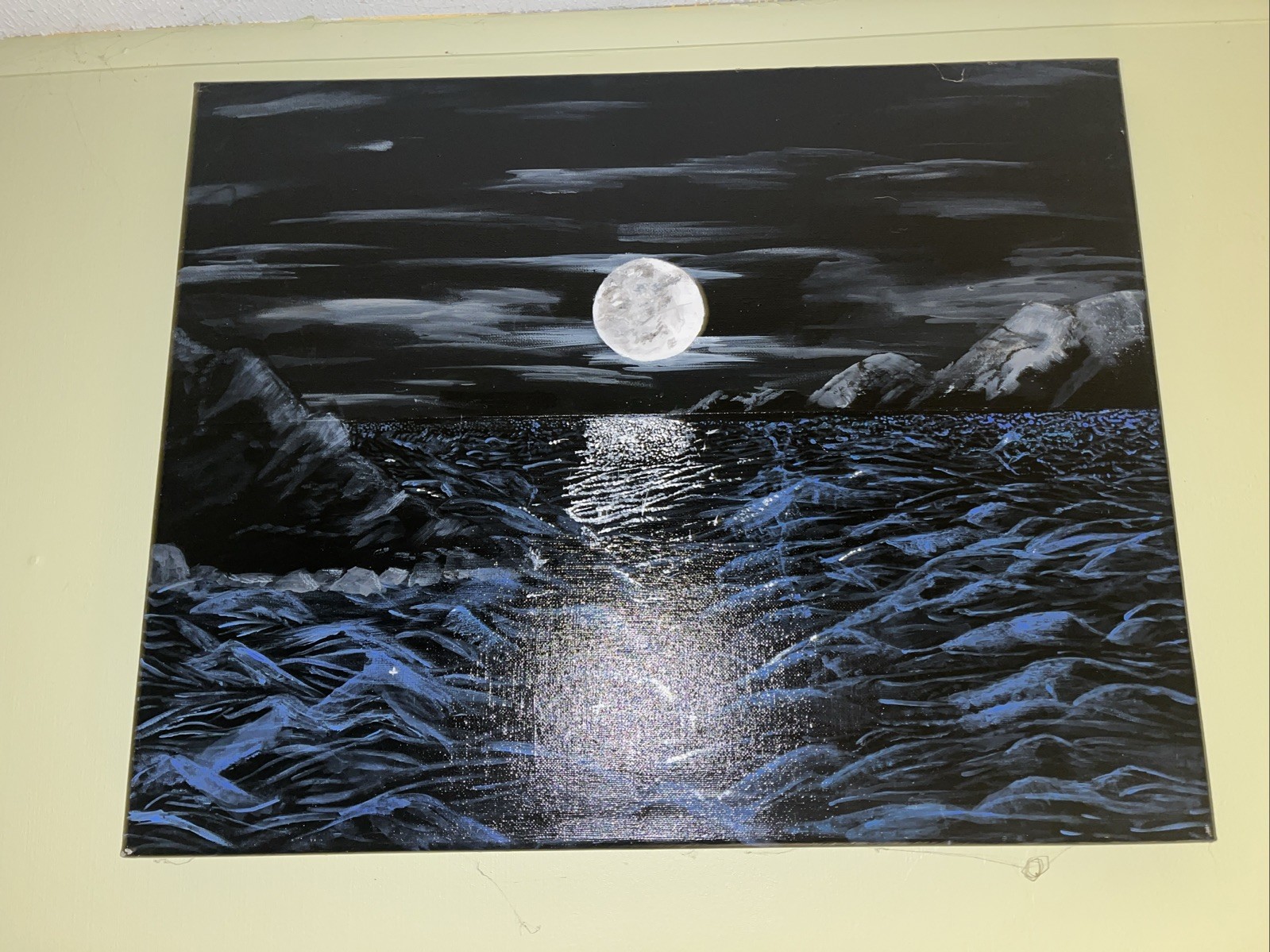 Saras’s Night Sky Painting Of High Detail Using Homemade Plant Paints
