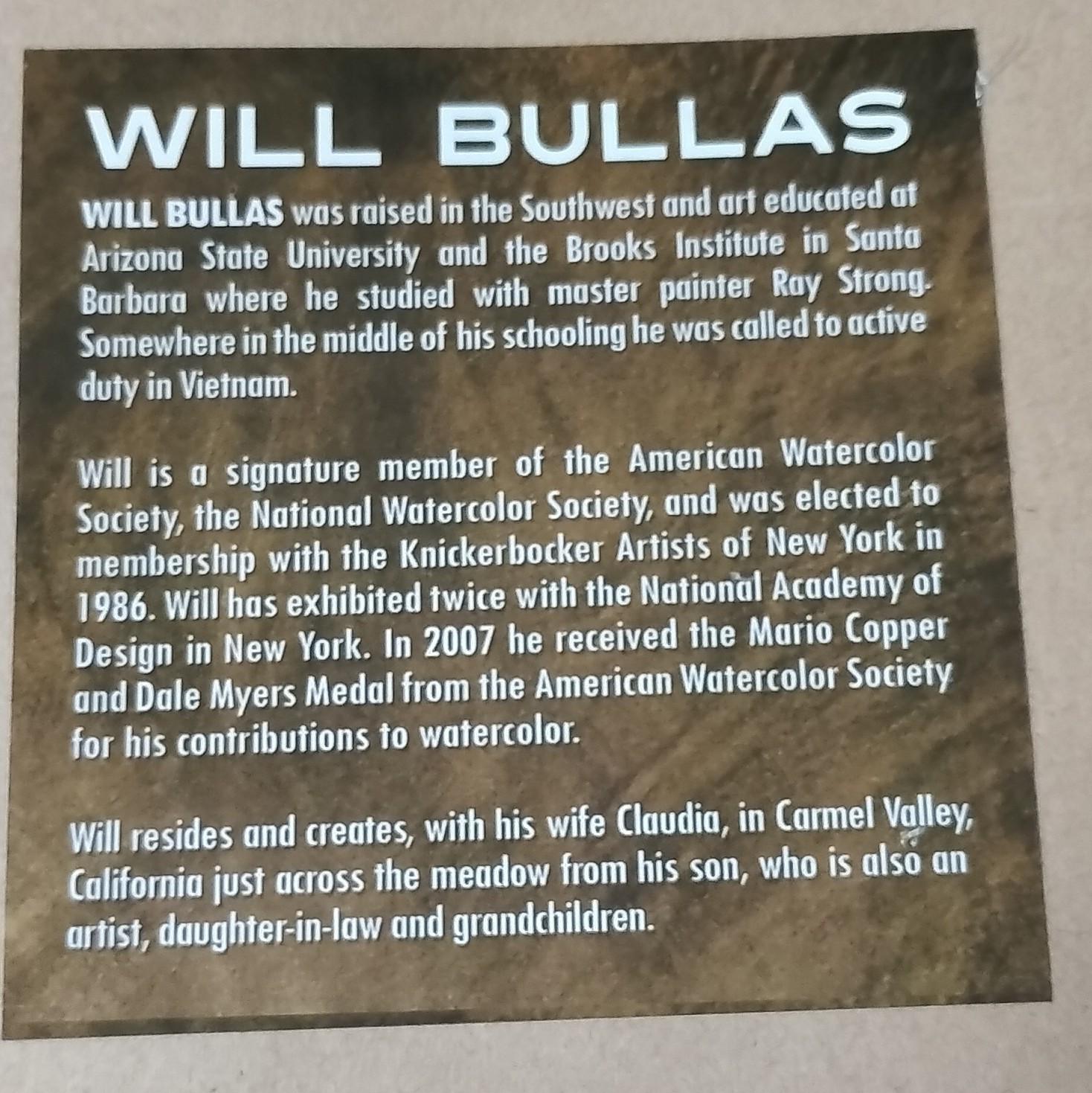 Will Bullas Signed Framed Duck Painting, Contemporary Animals Art, Medium
