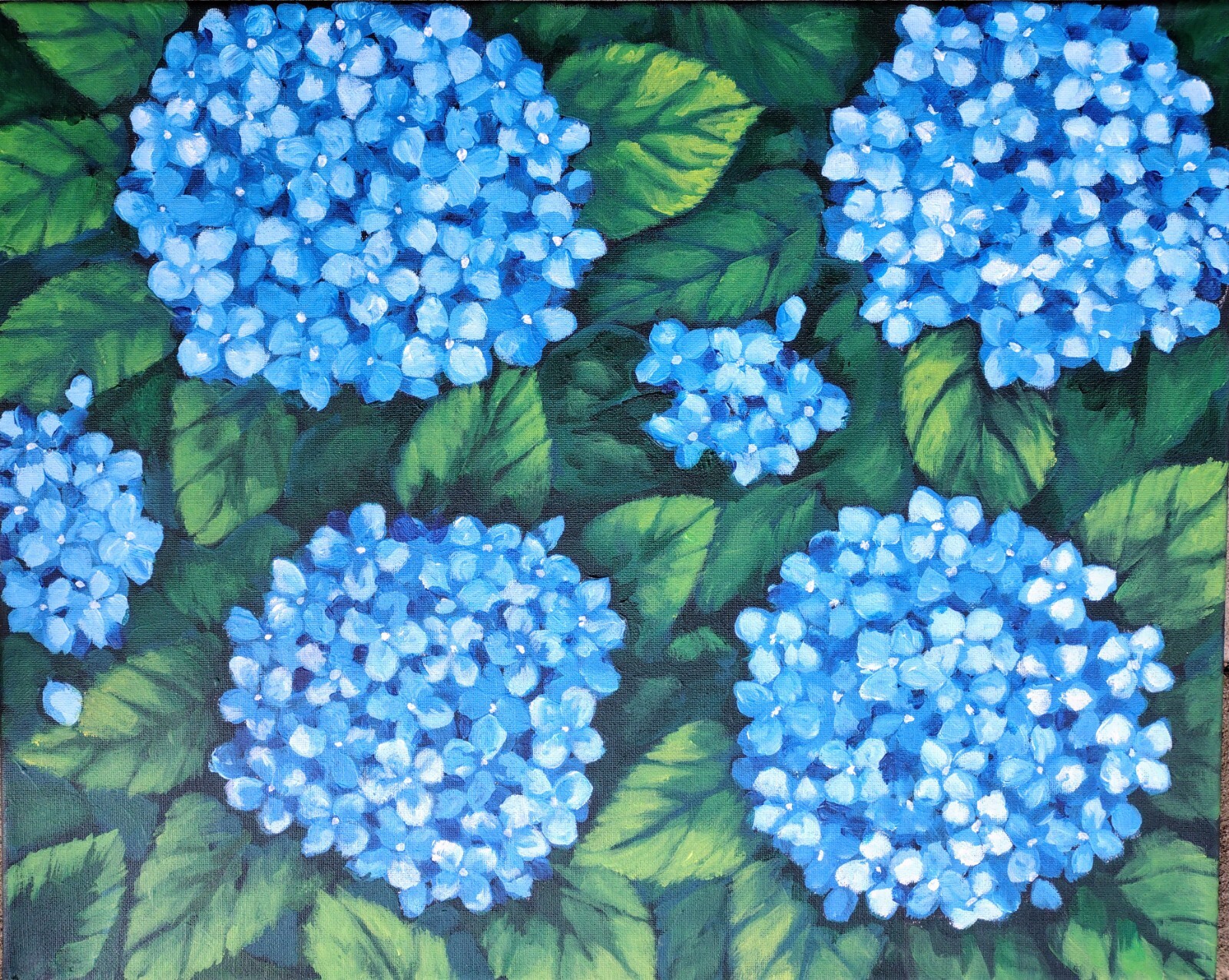 Blue Hydrangeas . Original acrylic painting on canvas 16×20