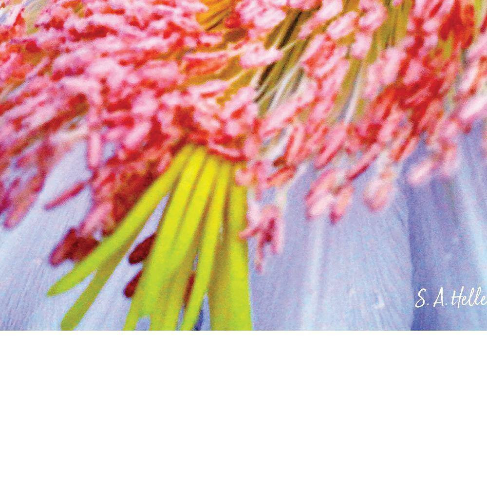 INTO the BLOOM by Steven A. Heller 1 Piece Unframed Canvas Drawing Print Abstrac