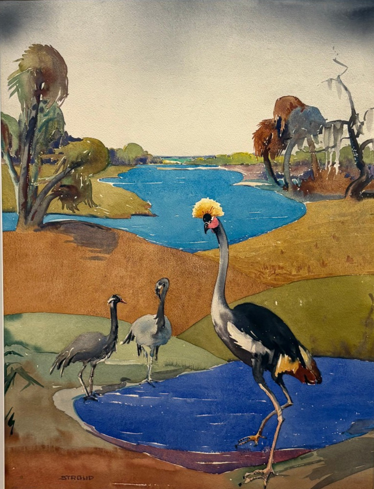 Gray Crowned Cranes 23 1/2 x 18 -Animal Alphabet W/C Painting-1930s-Clara Stroud