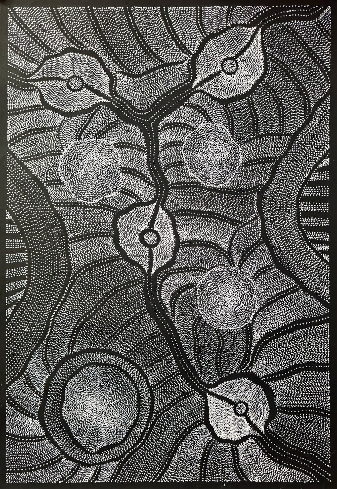 Anna Petyarre (Pitjara), Highly collectable Aboriginal art. Inc,COA and Photo’s