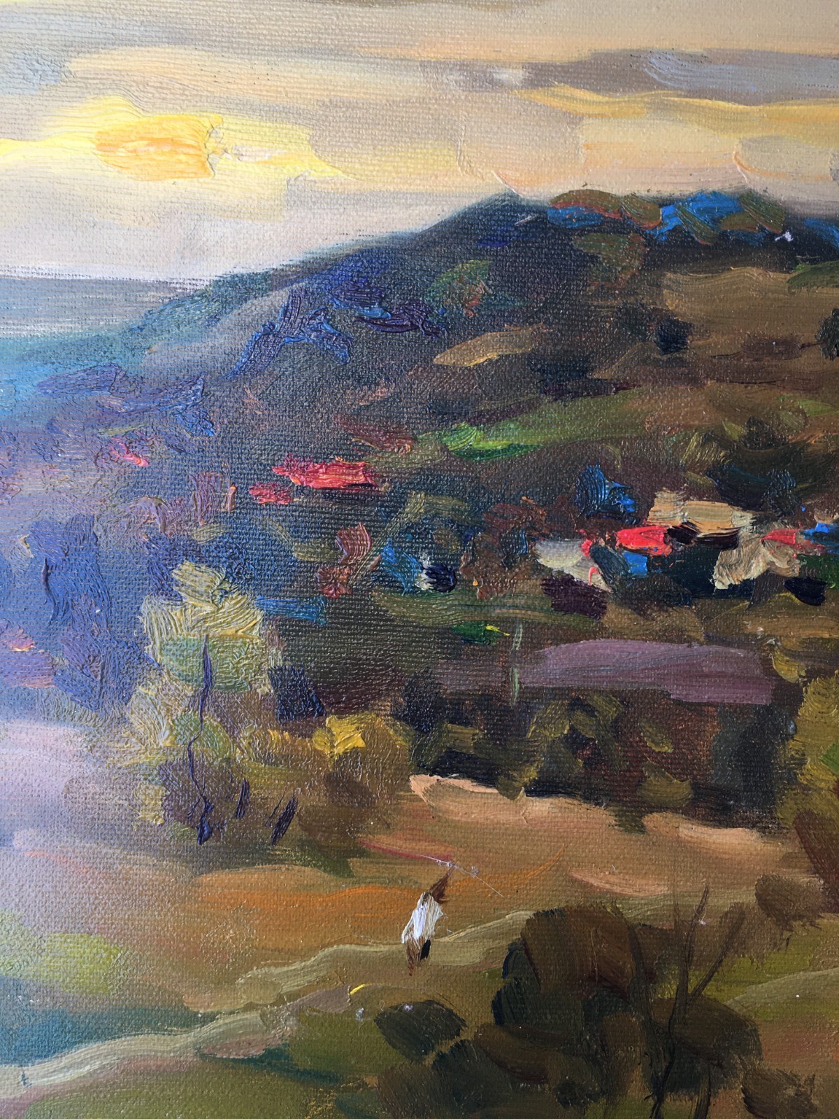 Oil painting Village Ukrainian painter canvas Unframed original Decor landscape