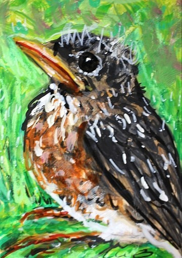 ORIGINAL ACEO American ROBIN Baby BIRD Nest Painting Spring CHICK Nature ATC ART