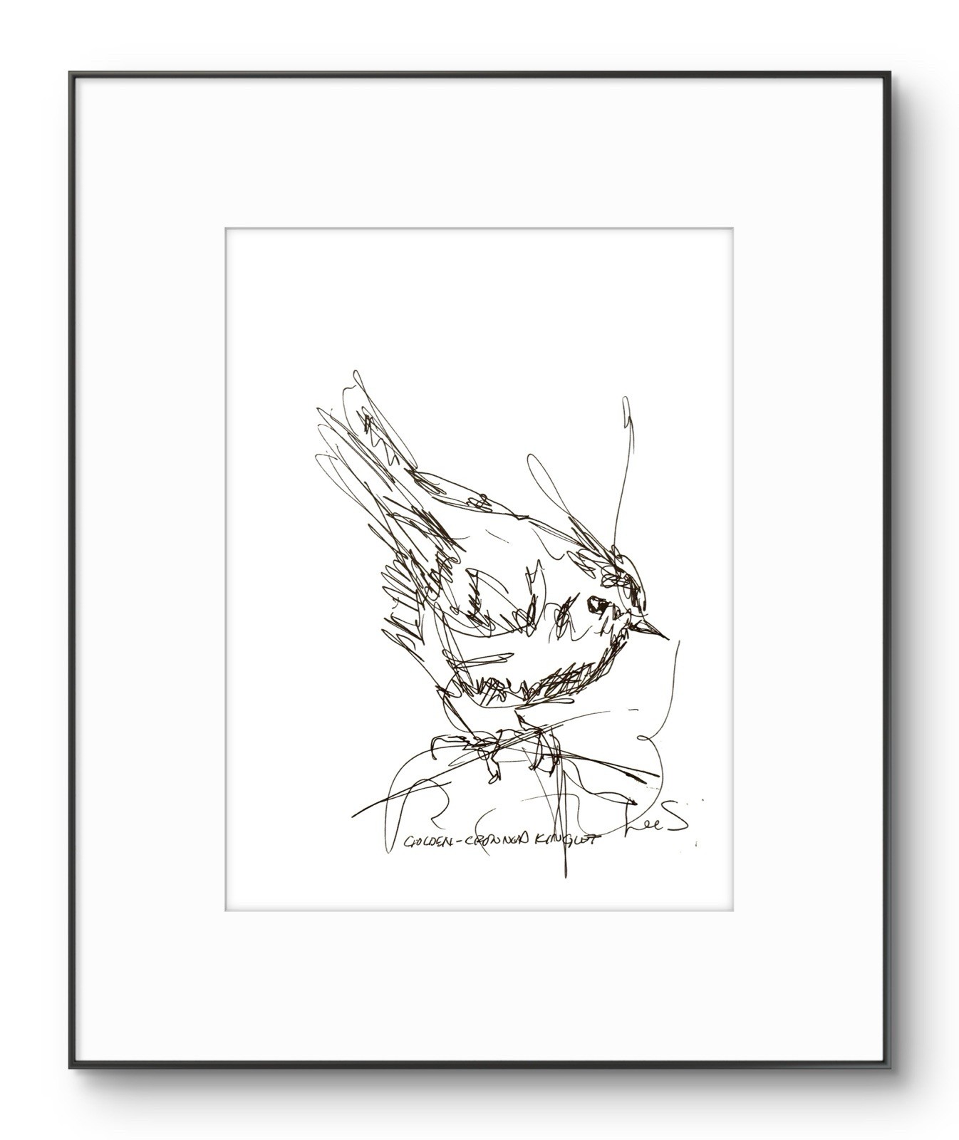 Original Abstract Expressive 9X12 Paper Pen and Ink Bird Handmade Signed 12