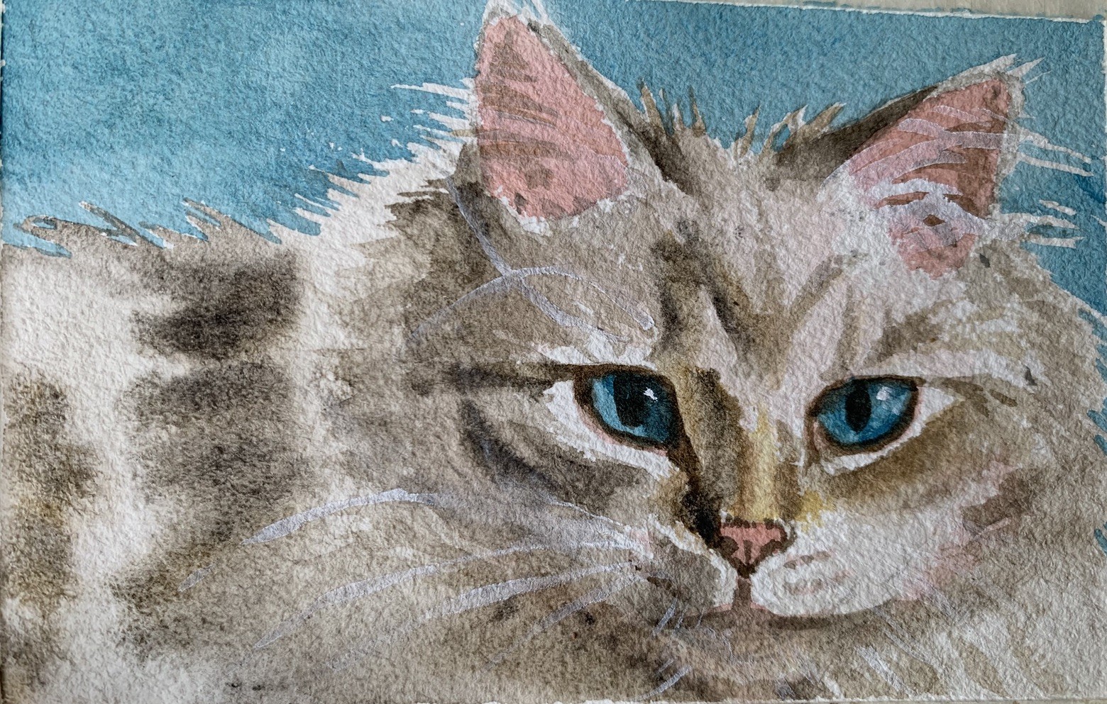 Custom pet portrait commission original watercolor painting sympathy gift art