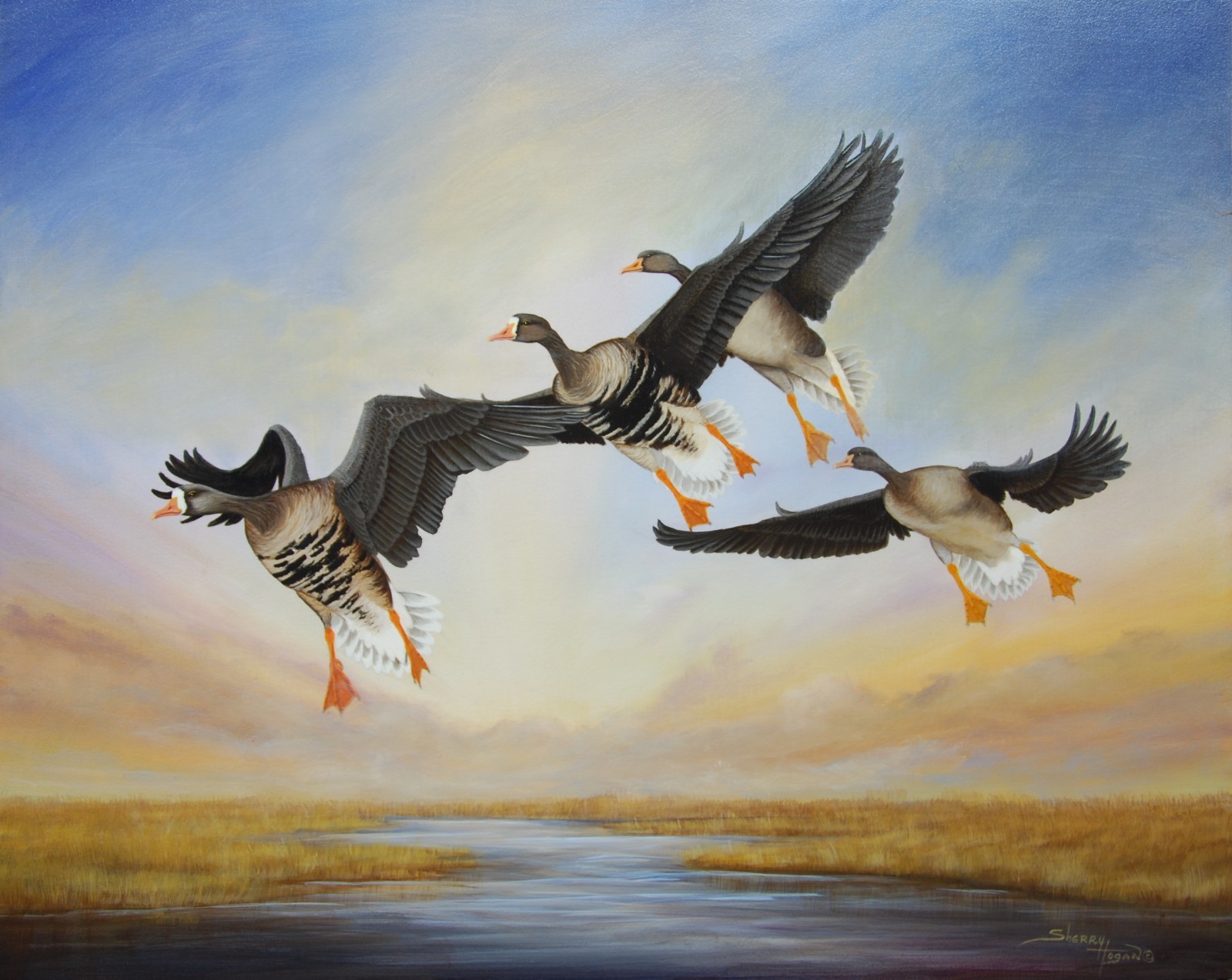 original acrylic, Spec-a-Belly, White Fronted Geese, Marsh Landscape, Waterfowl