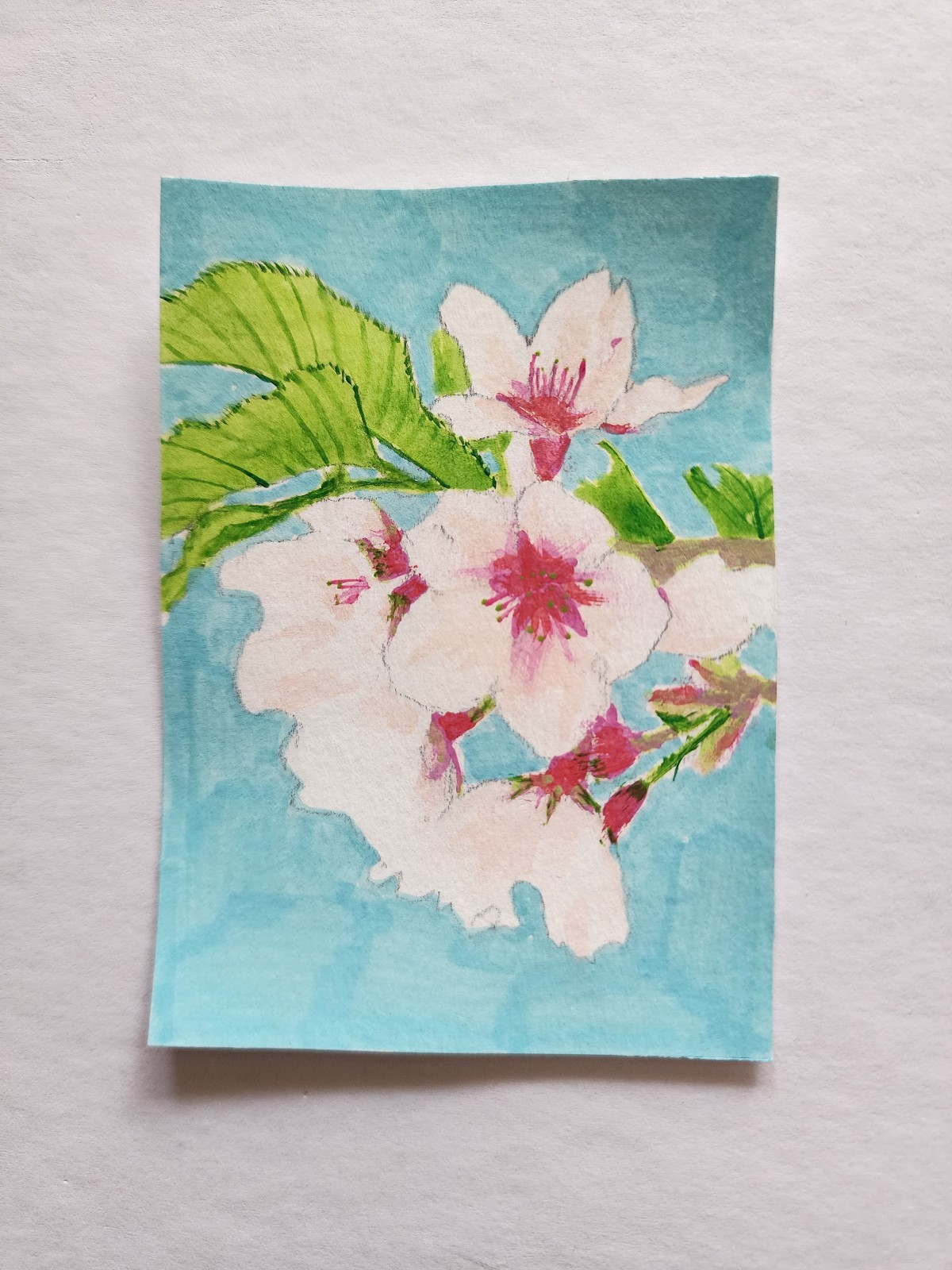 ACEO Original Abstract Acrylic Painting Branch of Cherry Blossom Flowers by Kiva