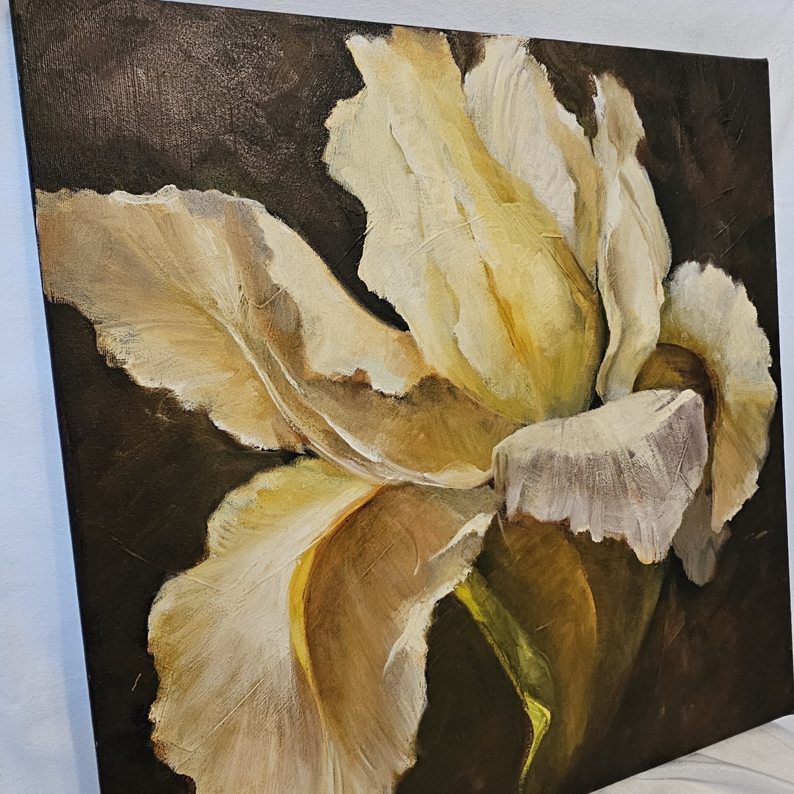 Iris Flower White Yellow Oil Painting Canvas Unsigned 20x20in Mounted On Wood