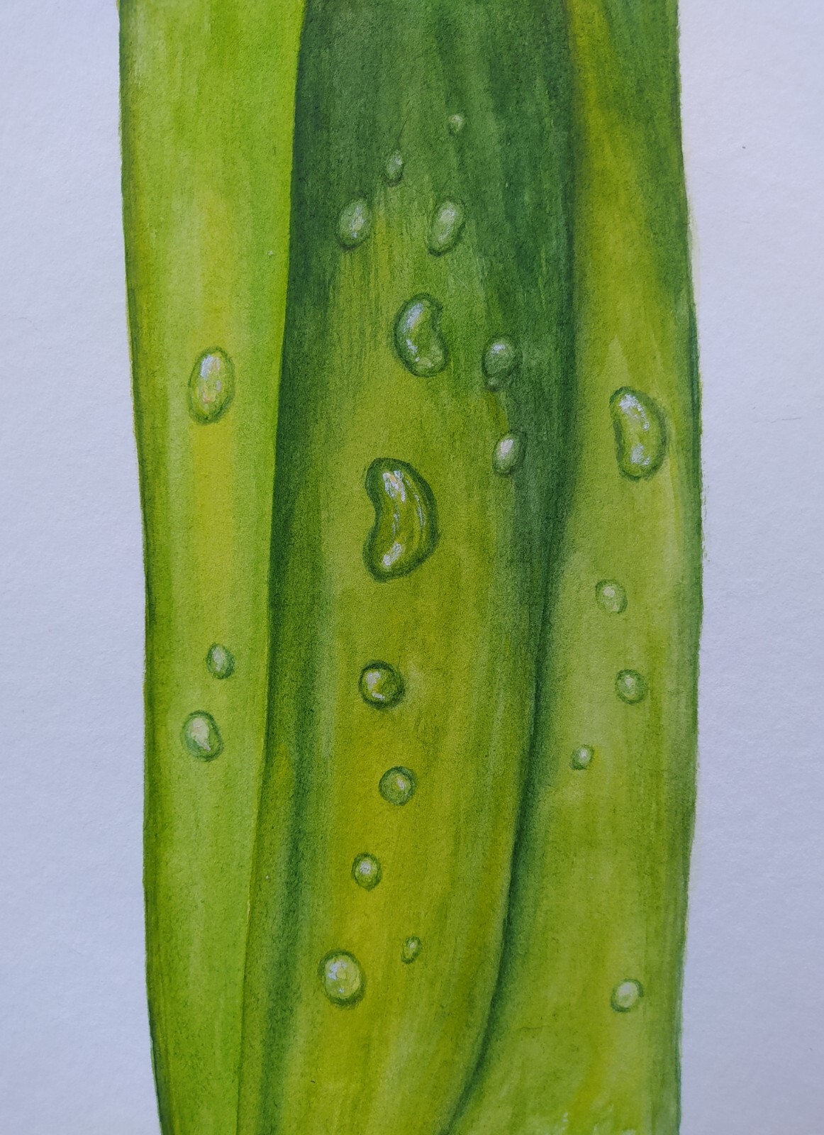 Original watercolor painting Dew on a leaf 5,9 x 7,8 in Minialism