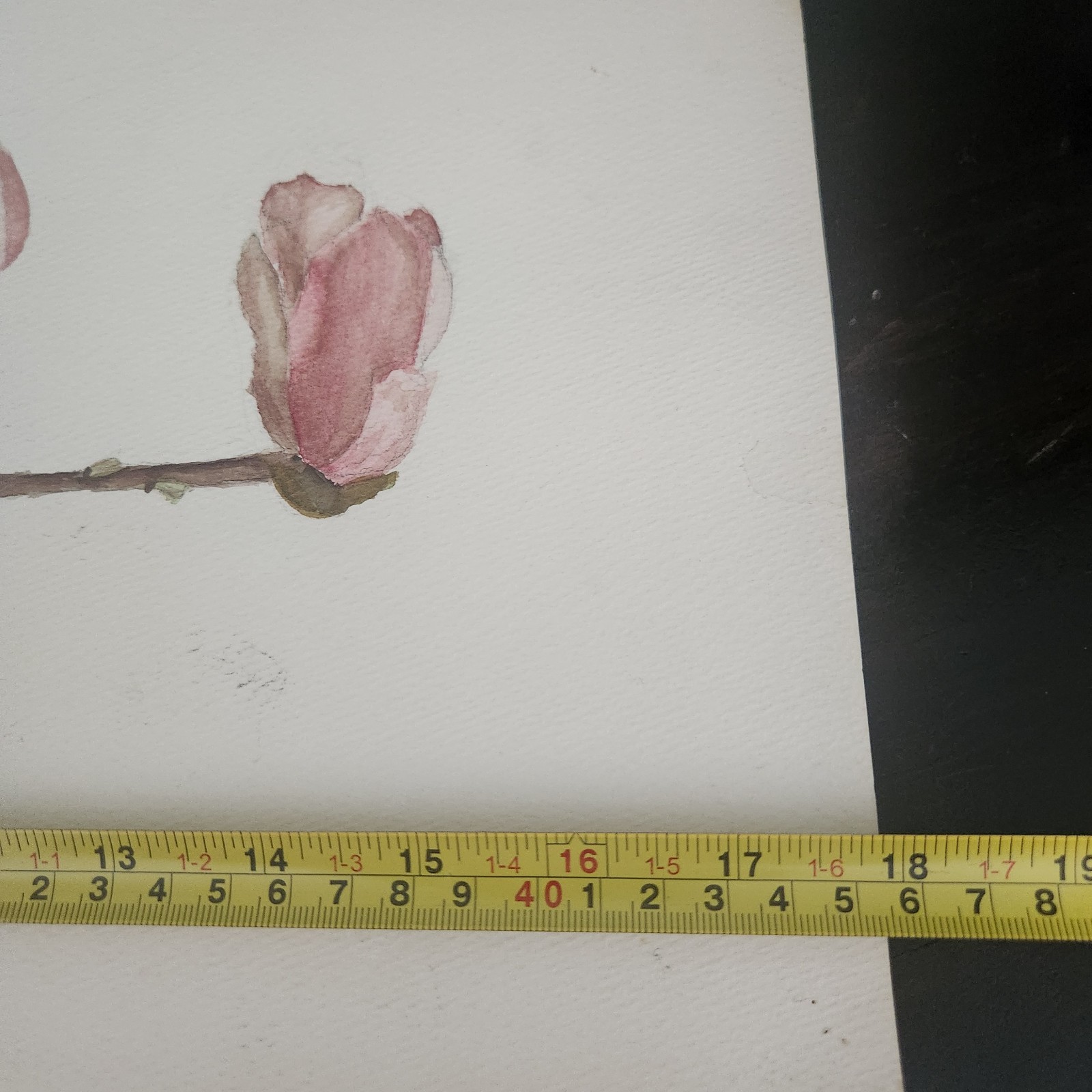 Original Watercolor Art Dusty Pink Magnolia Signed E. Alexander 12×18