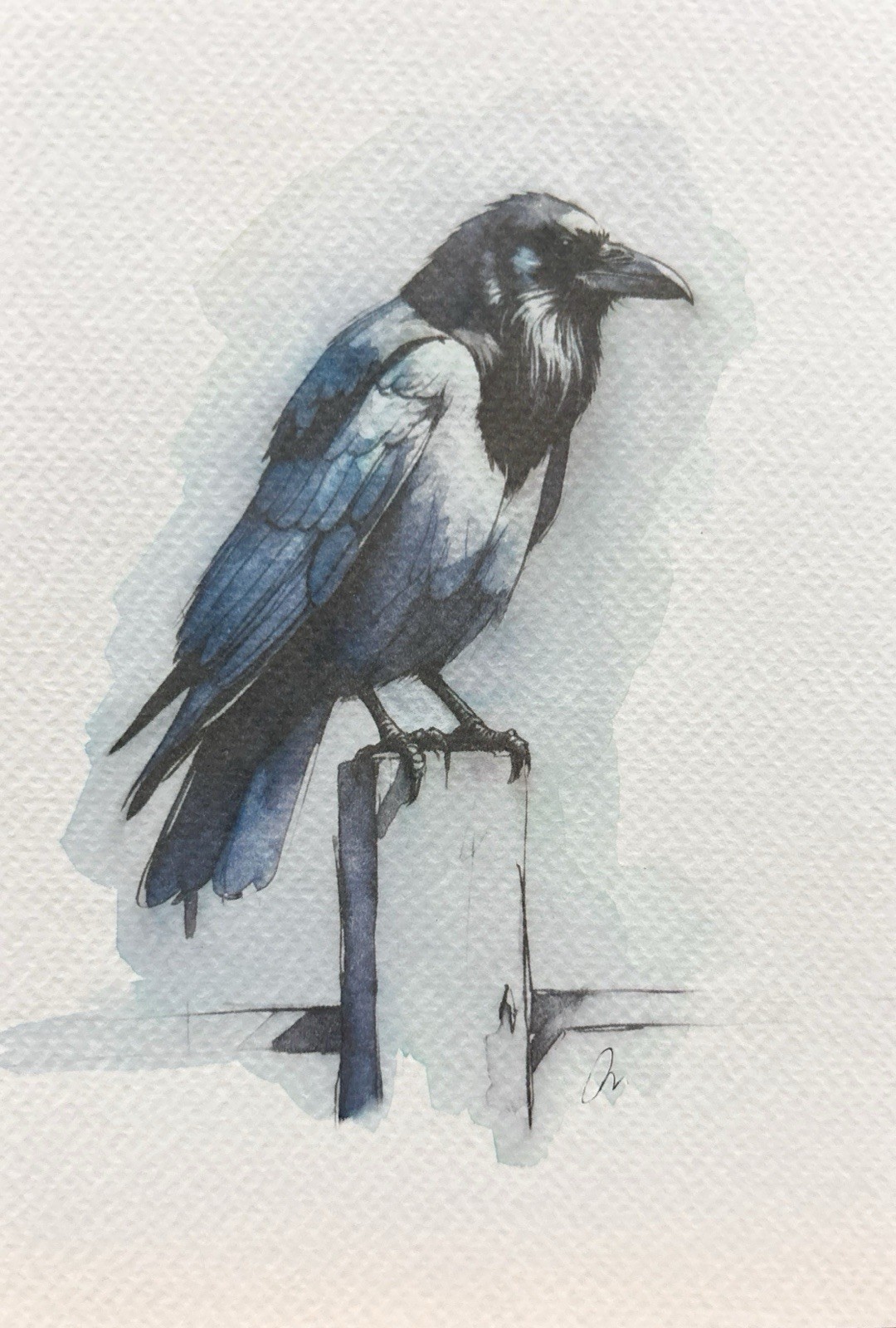 Original Watercolor Painting Raven Bird Size (5×7 inches)