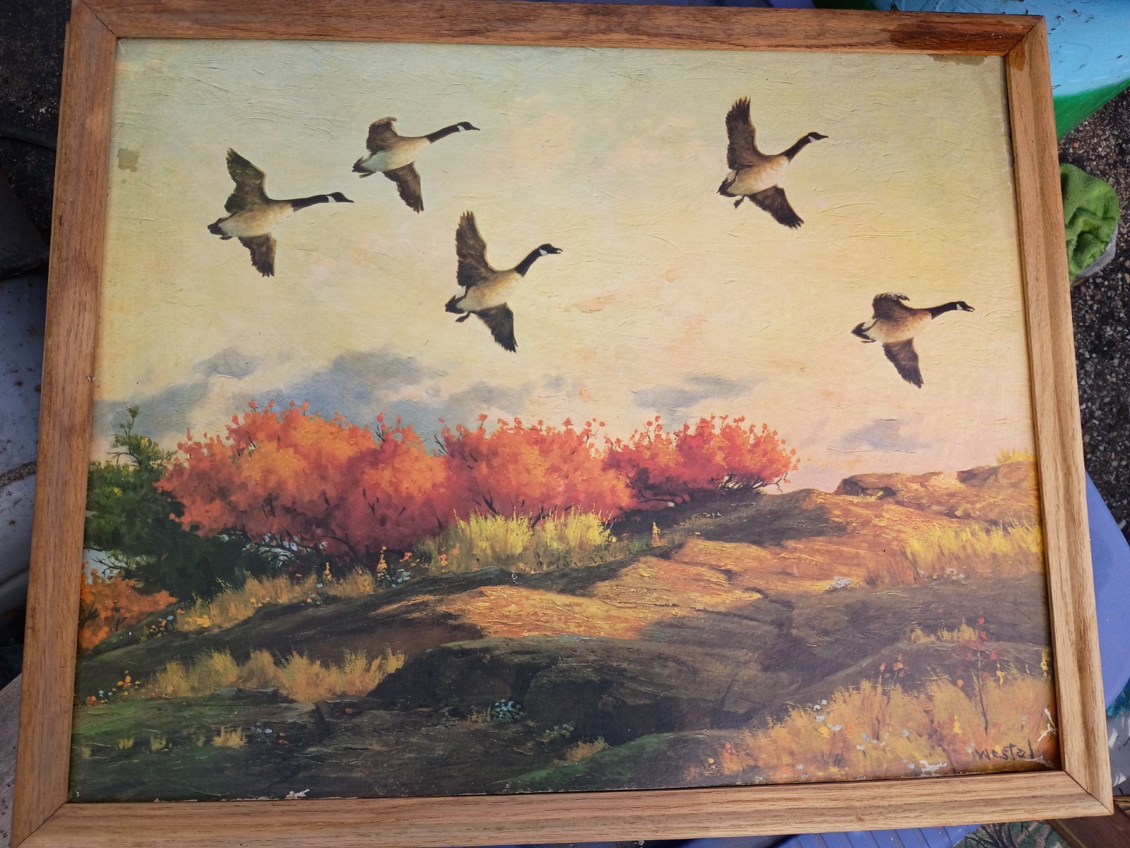 F. Kutzschbach Framed Signed Realism Canvas Ducks/Birds Landscape Painting