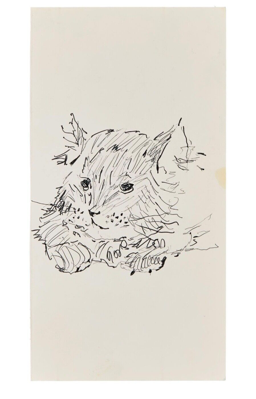 Tony Bennett Original Art – Pussy Cat Sketch – Not Signed – Julien’s Provenance