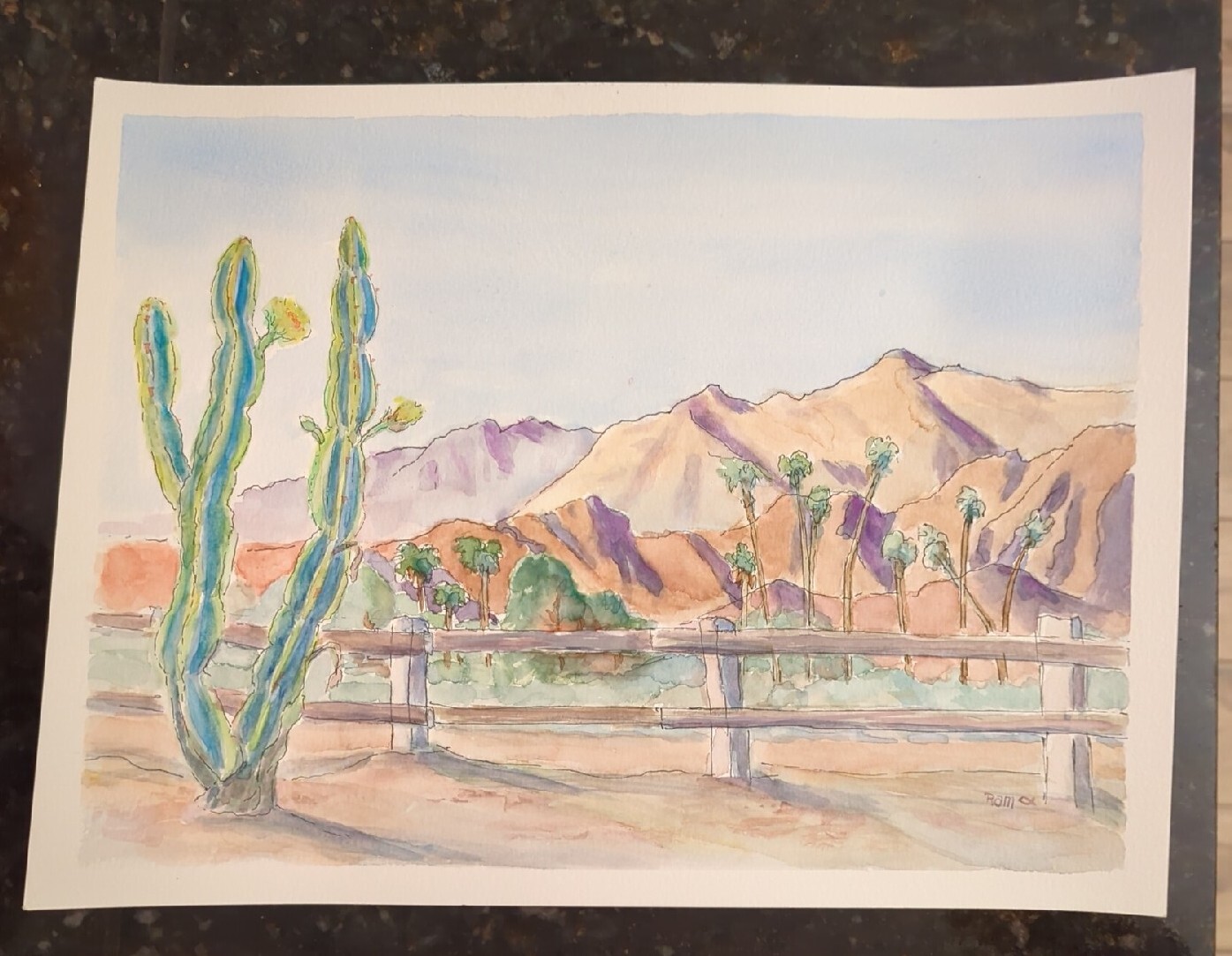 Desert Park Plein Air Wolfson Palm Springs Original Watercolor RAMfish Artist
