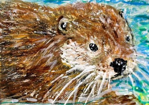 ORIGINAL ACEO Painting RIVER OTTER in Spring Animal Weasel Nature Pond ATC ART