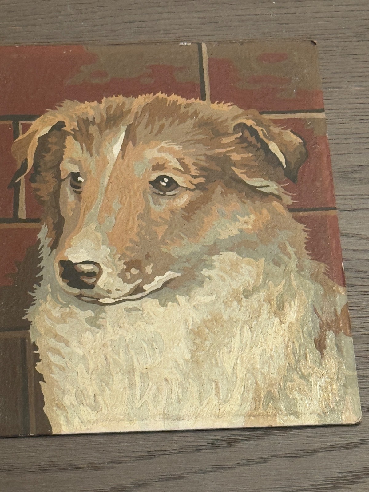 Vintage Hand Painted Paint by Numbers «Collie» Dog Portrait 1960s