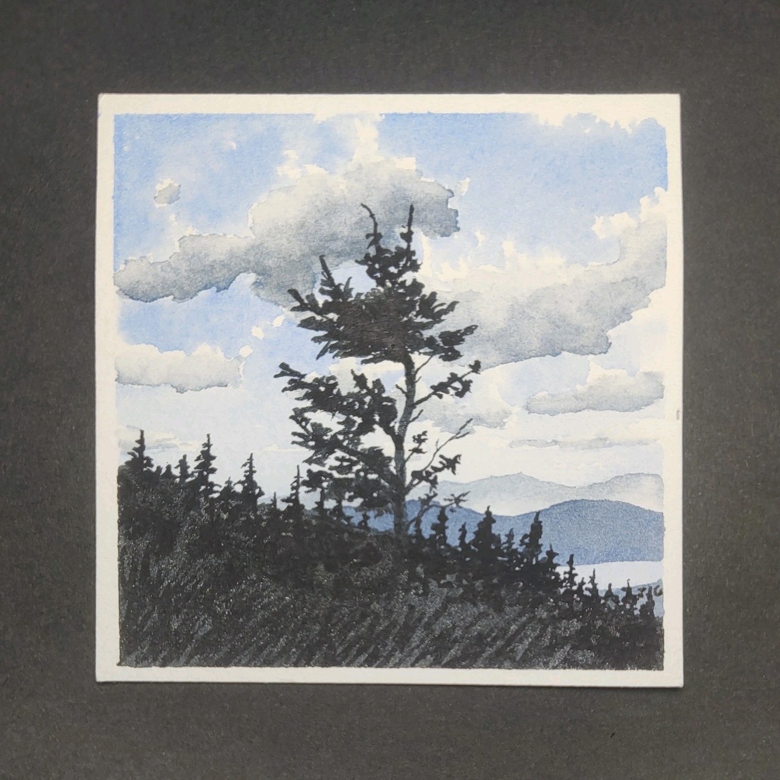 Landscape Trees Forest Nature Art Watercolor Paint on Paper, Unframed