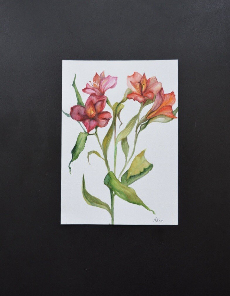 “Red Alstraemeria” Original watercolor painting Ukrainian artist