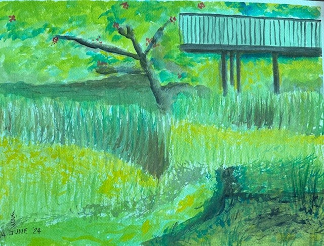 Bridge and Grass Field at Benjakiti