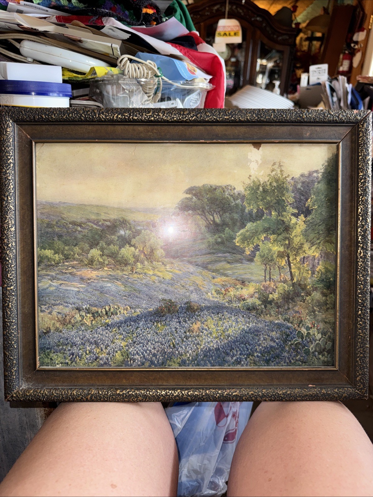 Vintage Old Print Landscape In Glass Frame Napier? Maker Unknown! 17 X 13 1/2. ￼