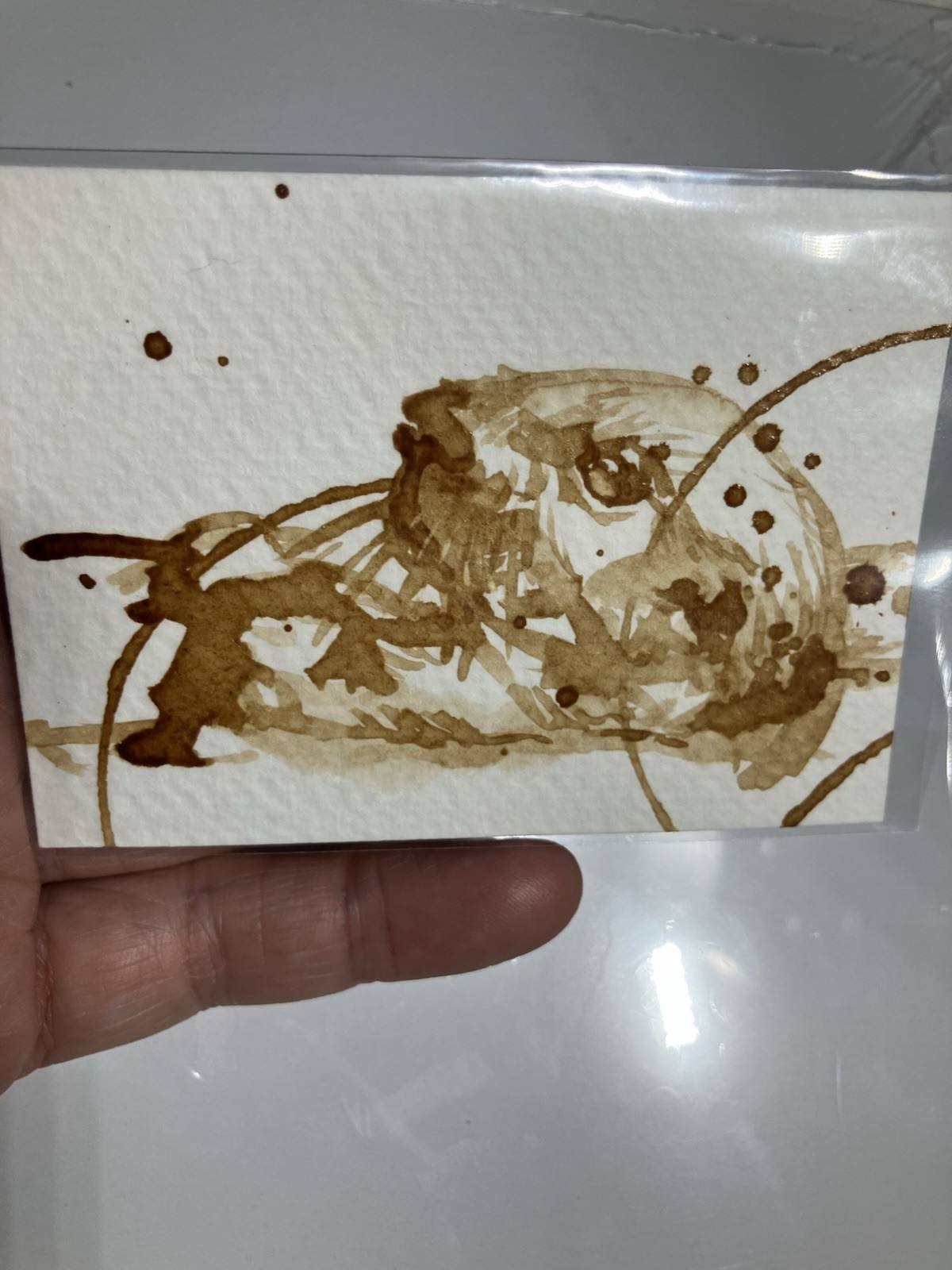 Coffee Aceo Original Sea Otter Painting Ocean Miniature Realism ATC Art Gift