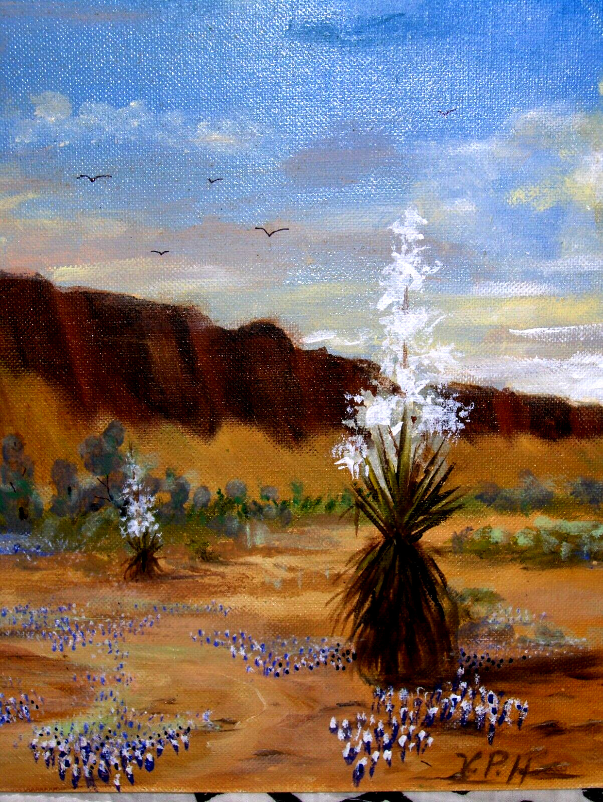 Original Buebonnet LandscapHouse Water Will Bird Blooming Yucca TX VINTAGE Oil