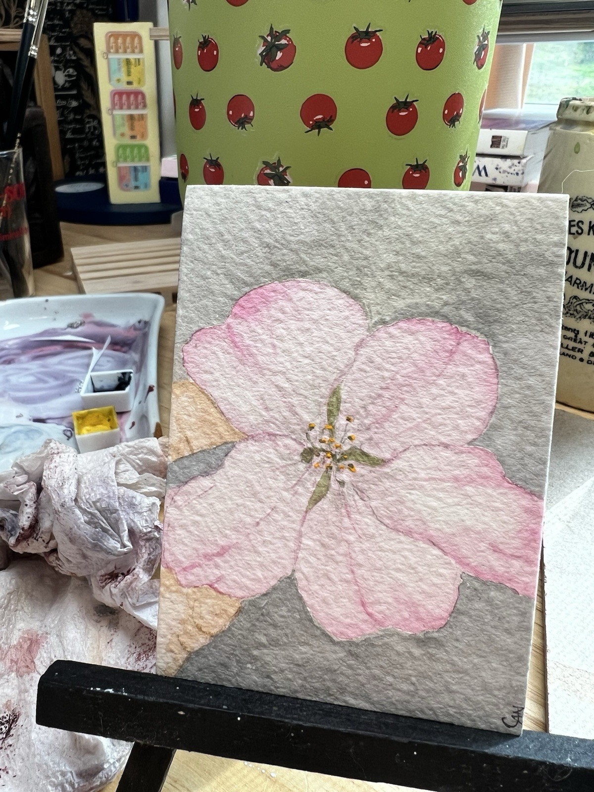 ACEO/ATC Original Painting 2.5 x 3.5 In., Watercolor Cherry Blossom Flower Bloom