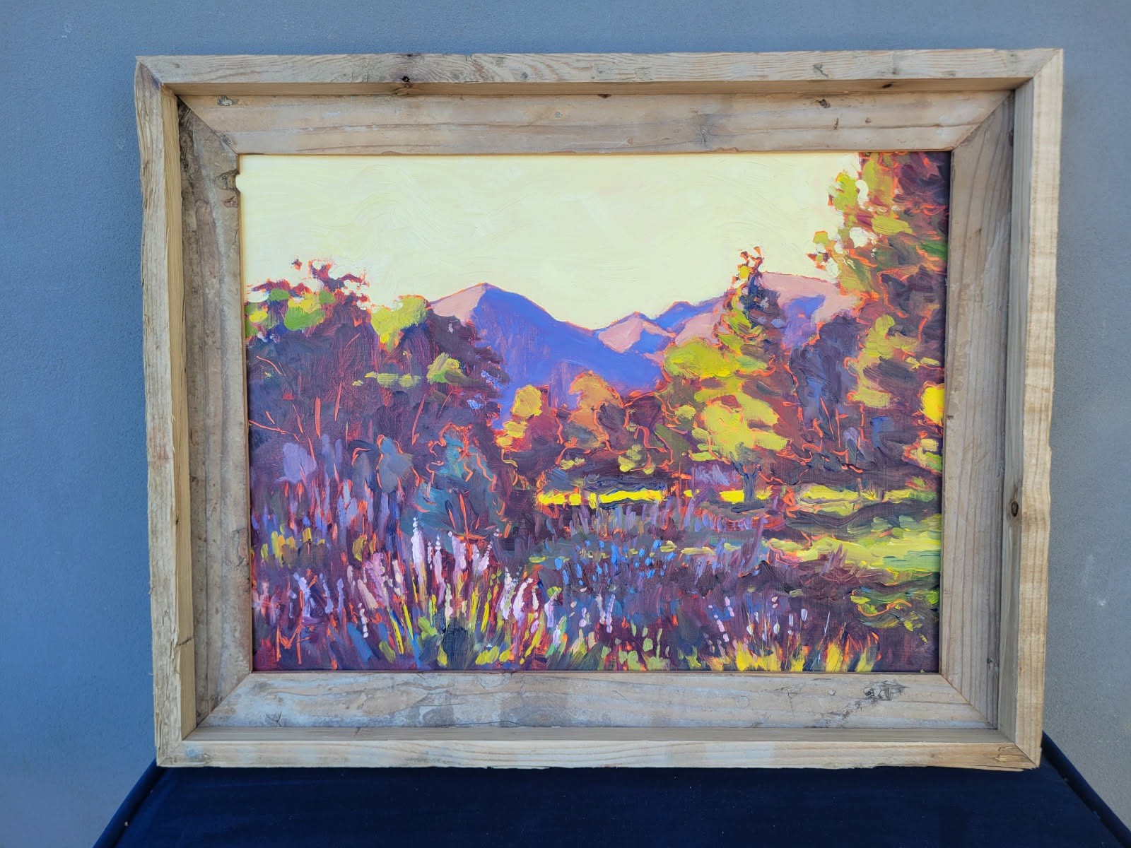 11x14in, Barnwood Frame, Oil on Canvas, «Ojai Garden» by Michael Fritschi