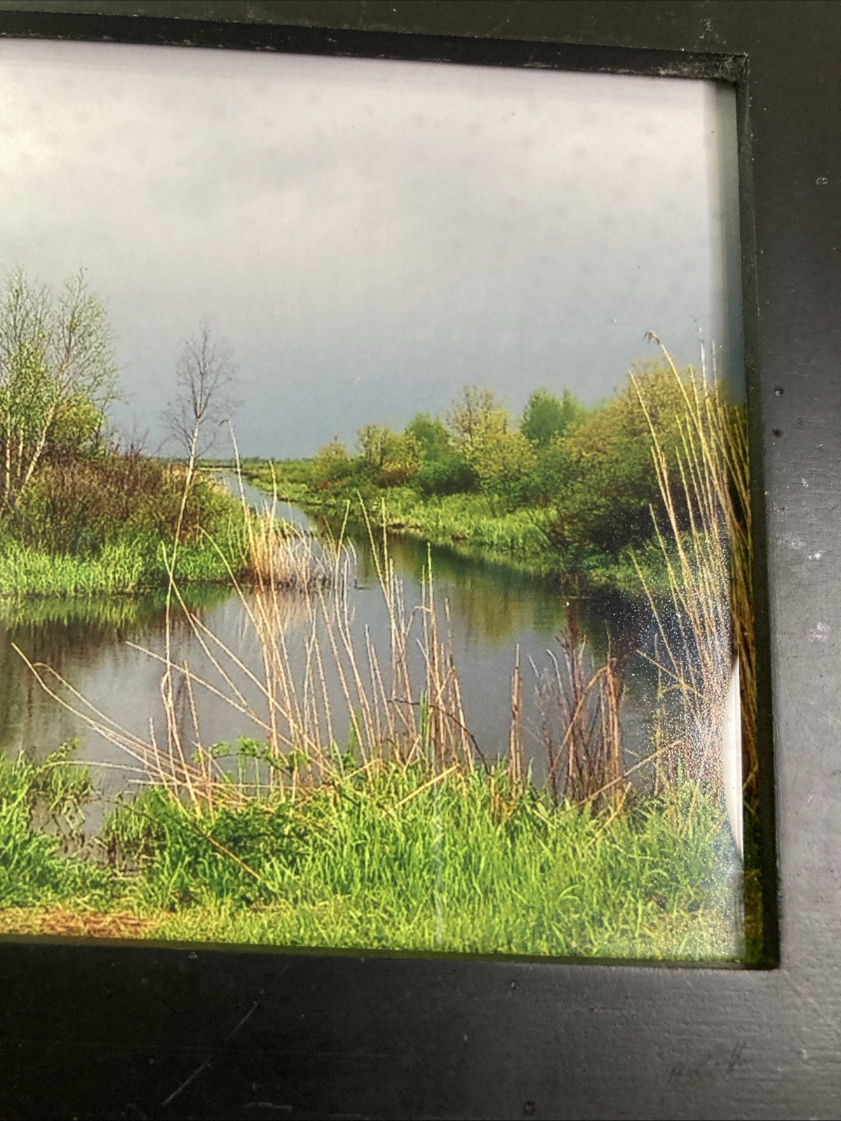 Framed Landscape Photo Of Marsh Stream Grasses Reeds Trees Green-Yellow-Blue Hue