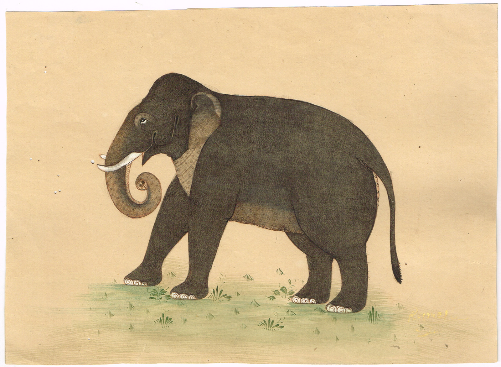 Hand Miniature Animal Painting Of Elephant Vintage Art On Paper 8.5×6″