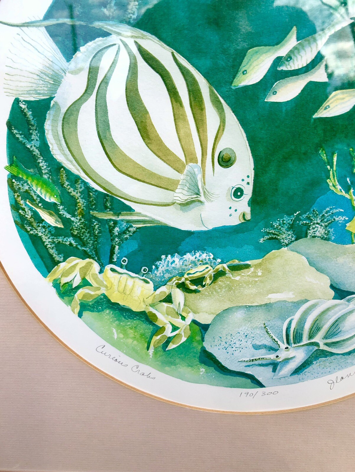 Gorgeous Framed Original Jeanne Nash Watercolor «Curious Crabs» c1992