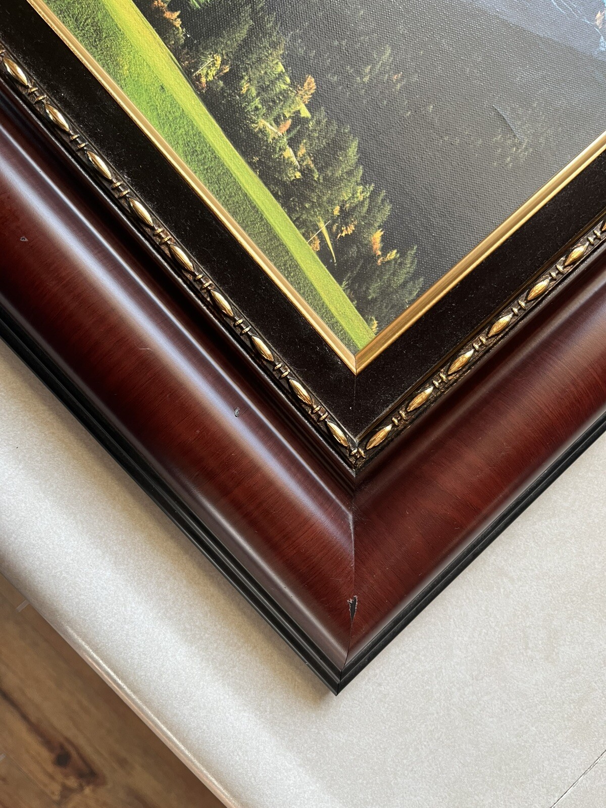 Framed Rocky Cathedral Beautiful Artwork 25 x 18 Frame 11 x 18 Matted Art Pics!