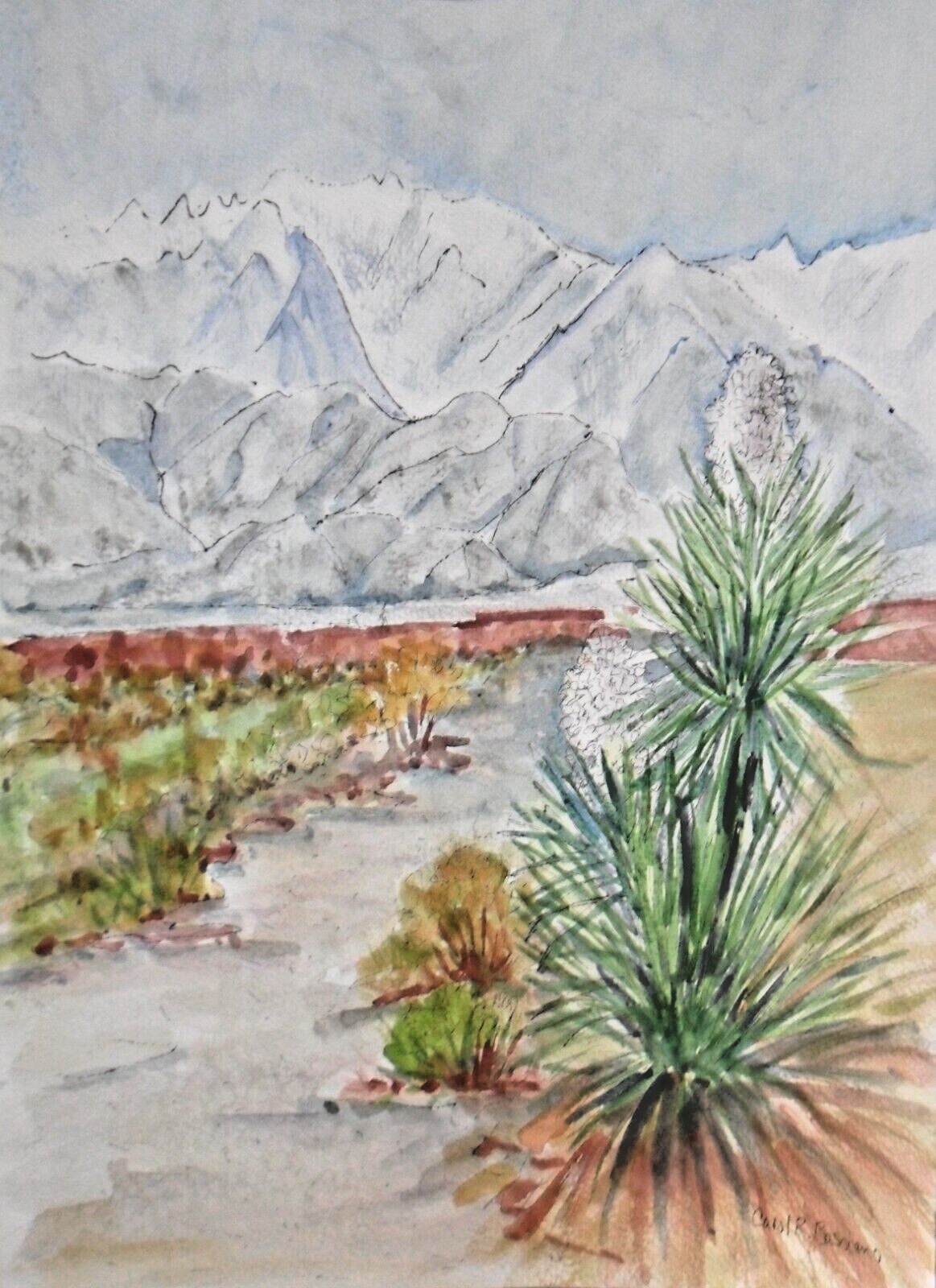 Original Art Desert Landscape Watercolor Painting CALIFORNIA YUCCA Basciano 11×8