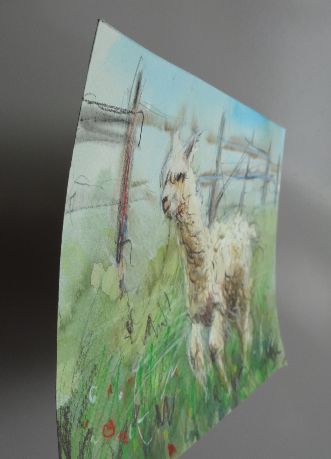 GERRY MILLER. Watercolour – «Alpaca». No frame. 15x22cm.