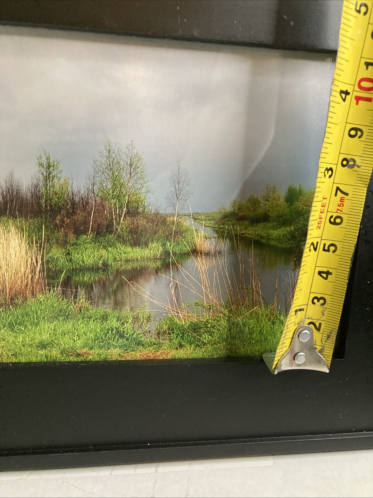 Framed Landscape Photo Of Marsh Stream Grasses Reeds Trees Green-Yellow-Blue Hue