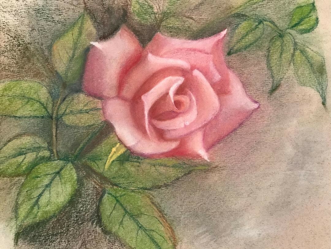 original pastel painting of a lovely rose on grey paper