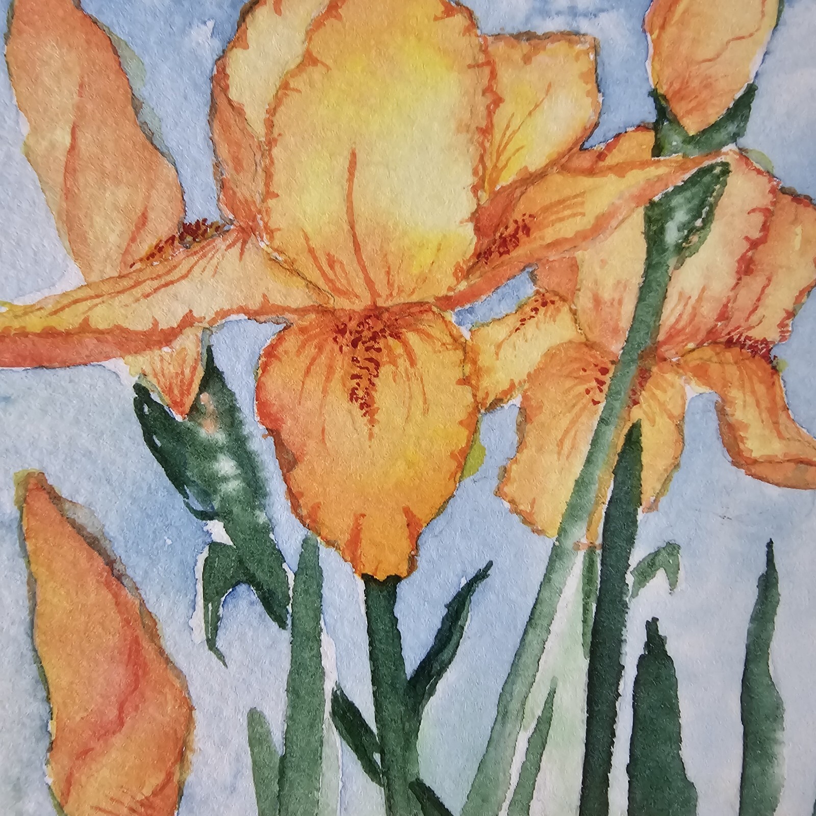 Signed Original Agnes Marie Salmon Watercolor Painting 9.75×7.25 Framed Art
