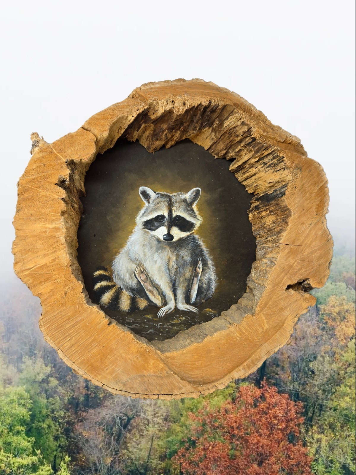 Raccoon Painting In Hollowed Out Piece Of Tree Rustic Forest Nature Signed G.B.